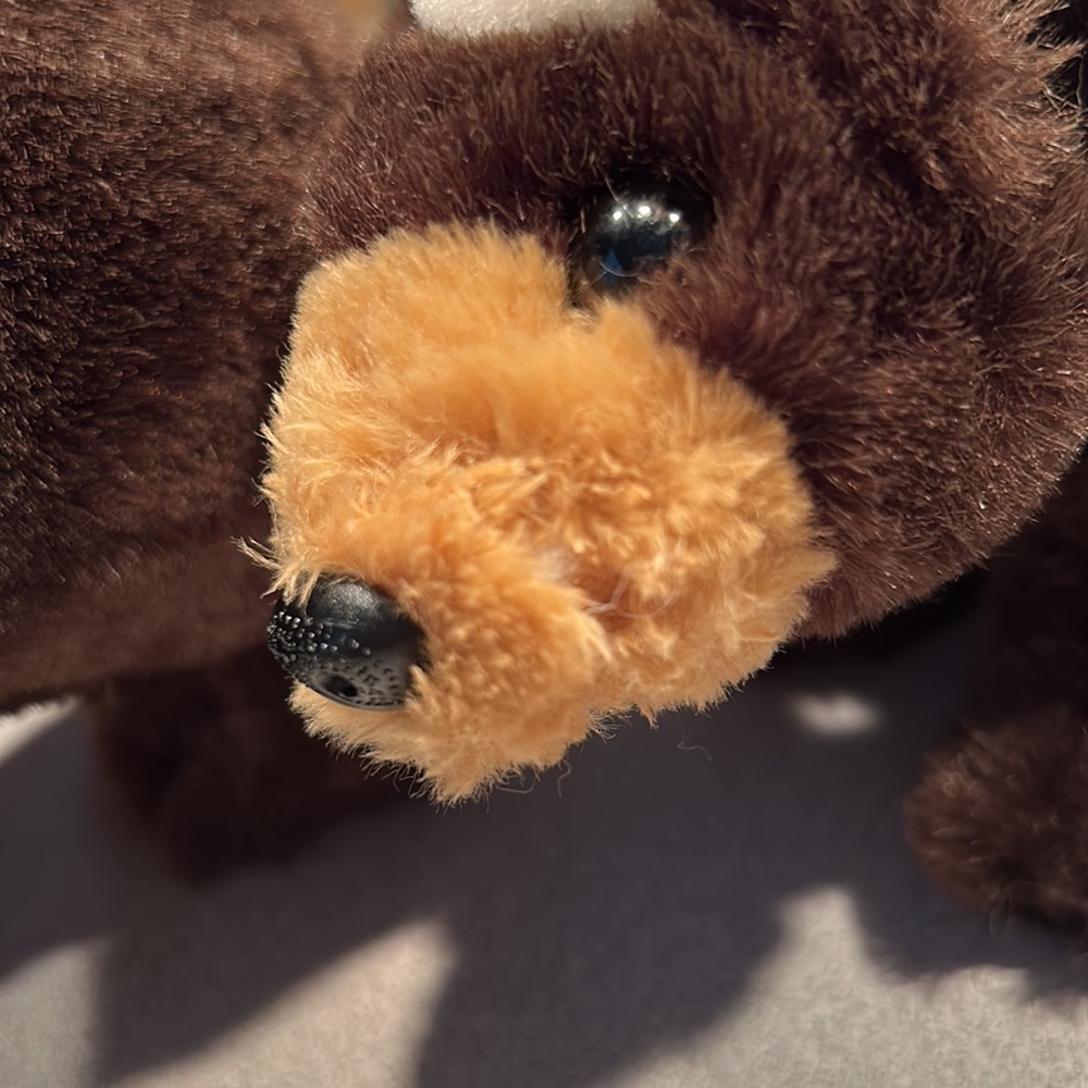 5 Precious Bank of the West Bear Ornaments - Picture 10 of 10